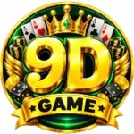 9D Game