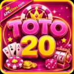 Toto20 Game